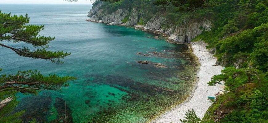 Дальневосточный морской заповедник